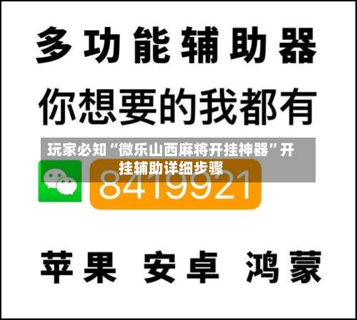 玩家必知“微乐山西麻将开挂神器	”开挂辅助详细步骤-第2张图片