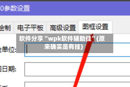 软件分享“wpk软件辅助挂”(原来确实是有挂)-第3张图片