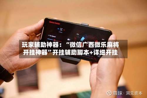 玩家辅助神器：“微信广西微乐麻将开挂神器	”开挂辅助脚本+详细开挂-第2张图片