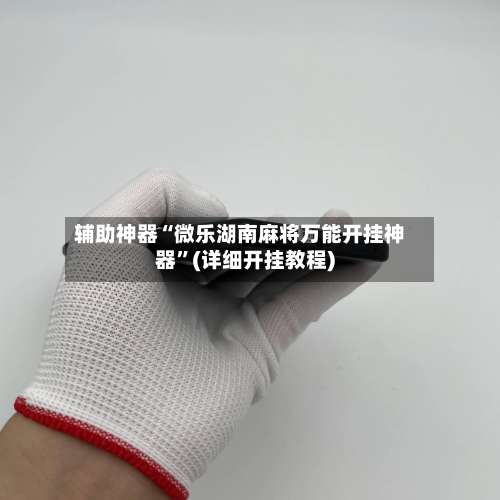 辅助神器“微乐湖南麻将万能开挂神器”(详细开挂教程)-第1张图片