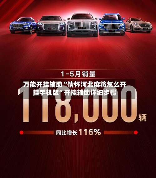 万能开挂辅助“情怀河北麻将怎么开挂手机版”开挂辅助详细步骤-第2张图片