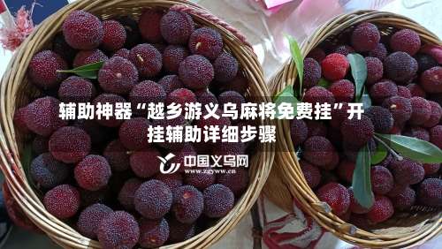 辅助神器“越乡游义乌麻将免费挂”开挂辅助详细步骤-第2张图片