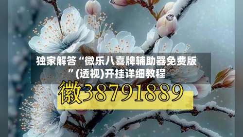 独家解答“微乐八喜牌辅助器免费版	”(透视)开挂详细教程-第1张图片