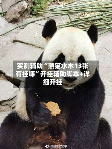 实测辅助“熊猫水水13张有挂嘛	”开挂辅助脚本+详细开挂-第1张图片