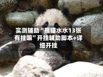 实测辅助“熊猫水水13张有挂嘛”开挂辅助脚本+详细开挂-第2张图片