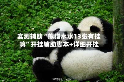 实测辅助“熊猫水水13张有挂嘛”开挂辅助脚本+详细开挂-第3张图片