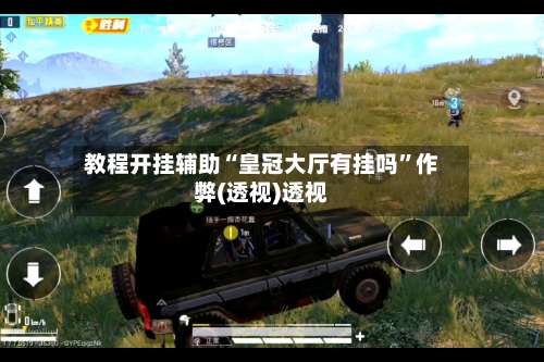 教程开挂辅助“皇冠大厅有挂吗”作弊(透视)透视-第1张图片