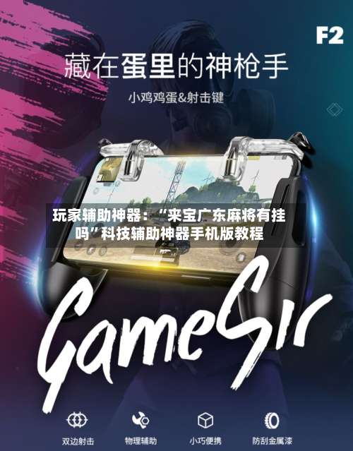 玩家辅助神器：“来宝广东麻将有挂吗”科技辅助神器手机版教程-第2张图片