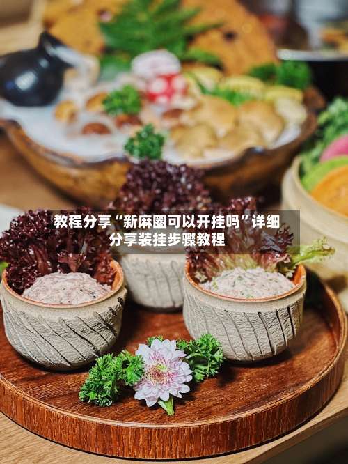 教程分享“新麻圈可以开挂吗”详细分享装挂步骤教程-第1张图片