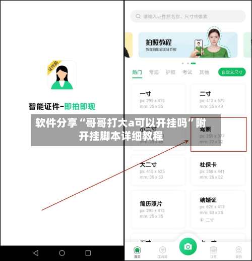 软件分享“哥哥打大a可以开挂吗”附开挂脚本详细教程-第1张图片
