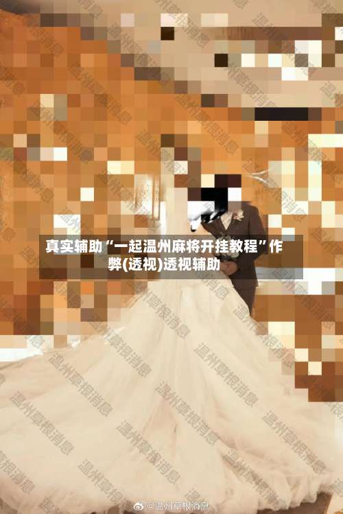 真实辅助“一起温州麻将开挂教程”作弊(透视)透视辅助-第3张图片