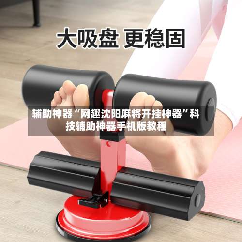 辅助神器“网趣沈阳麻将开挂神器”科技辅助神器手机版教程-第3张图片