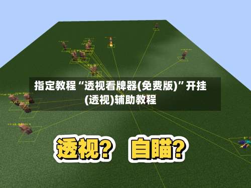 指定教程“透视看牌器(免费版)”开挂(透视)辅助教程-第1张图片