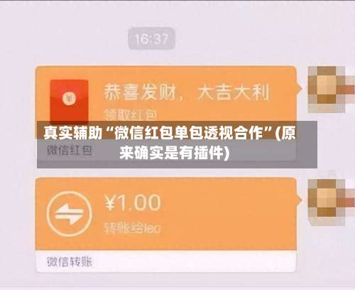 真实辅助“微信红包单包透视合作	”(原来确实是有插件)-第1张图片