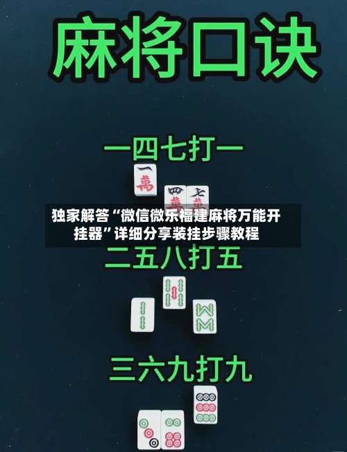 独家解答“微信微乐福建麻将万能开挂器”详细分享装挂步骤教程-第2张图片