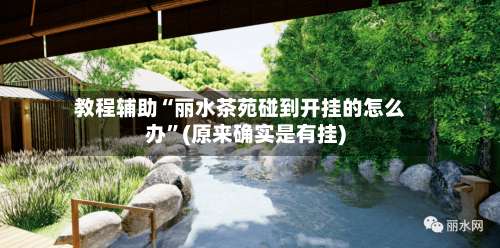 教程辅助“丽水茶苑碰到开挂的怎么办”(原来确实是有挂)-第1张图片