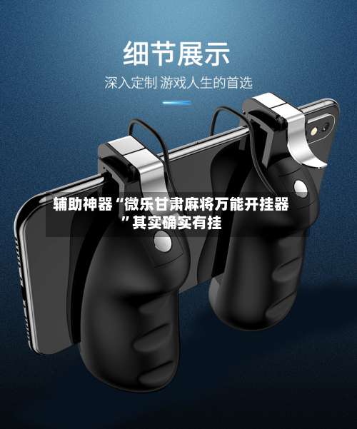 辅助神器“微乐甘肃麻将万能开挂器”其实确实有挂-第2张图片