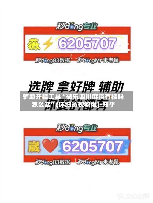 辅助开挂工具“微乐四川麻将有挂吗怎么买”(详细透视教程)-知乎-第1张图片