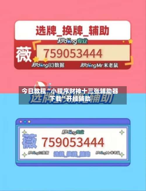 今日教程“小程序财神十三张辅助器下载	”开挂辅助-第3张图片