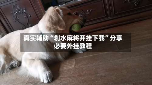 真实辅助“划水麻将开挂下载”分享必要外挂教程-第2张图片