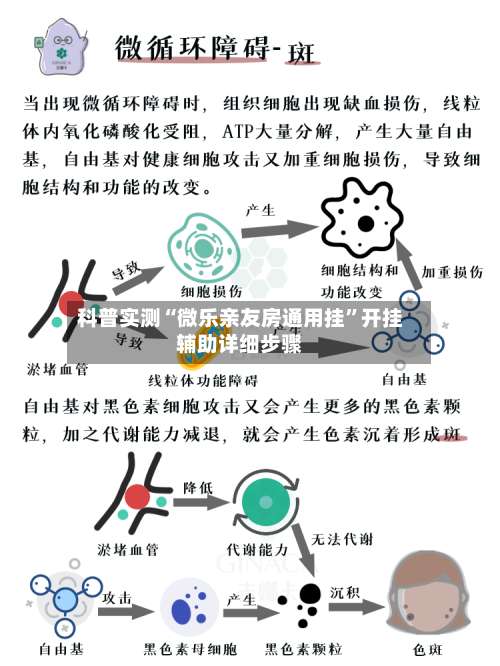 科普实测“微乐亲友房通用挂”开挂辅助详细步骤-第1张图片