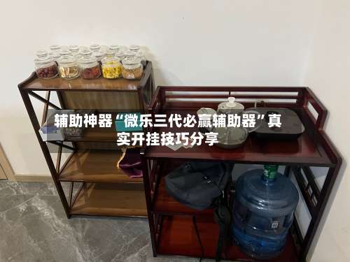 辅助神器“微乐三代必赢辅助器”真实开挂技巧分享-第1张图片