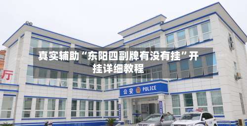 真实辅助“东阳四副牌有没有挂”开挂详细教程-第2张图片