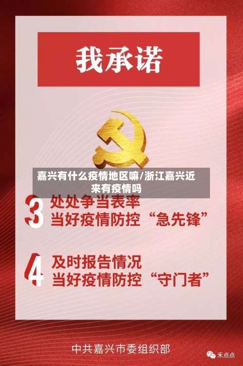 嘉兴有什么疫情地区嘛/浙江嘉兴近来有疫情吗-第2张图片