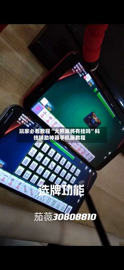玩家必看教程“大熊麻将有挂吗”科技辅助神器手机版教程-第2张图片