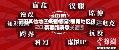 襄阳其他地区疫情情况/襄阳地区疫情最新消息-第2张图片