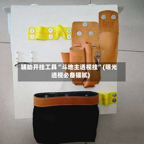 辅助开挂工具“斗地主透视挂”(曝光透视必备猫腻)-第2张图片