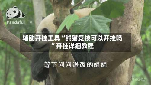 辅助开挂工具“熊猫竞技可以开挂吗	”开挂详细教程-第1张图片