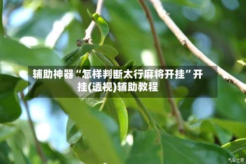 辅助神器“怎样判断太行麻将开挂	”开挂(透视)辅助教程-第1张图片