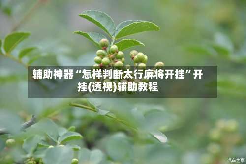 辅助神器“怎样判断太行麻将开挂”开挂(透视)辅助教程-第2张图片