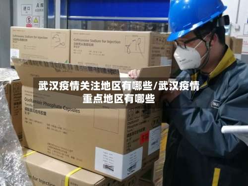 武汉疫情关注地区有哪些/武汉疫情重点地区有哪些-第1张图片