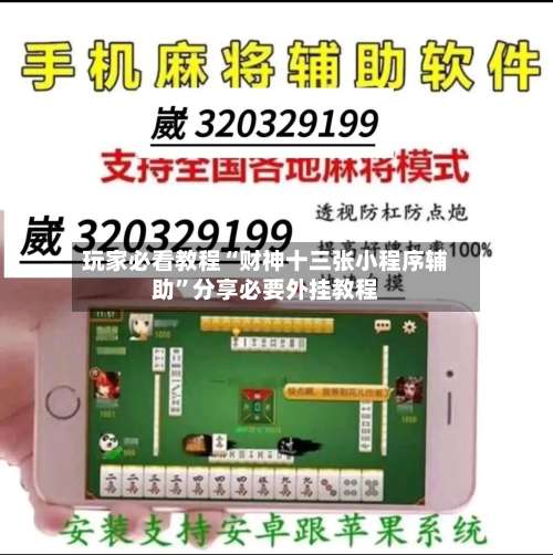 玩家必看教程“财神十三张小程序辅助	”分享必要外挂教程-第2张图片