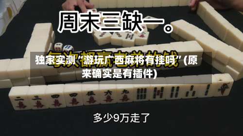 独家实测“游玩广西麻将有挂吗”(原来确实是有插件)-第2张图片