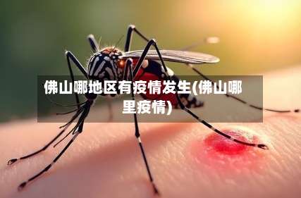 佛山哪地区有疫情发生(佛山哪里疫情)-第2张图片