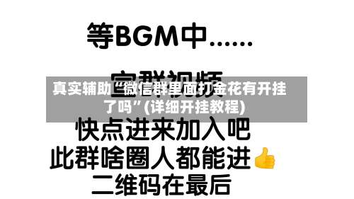 真实辅助“微信群里面打金花有开挂了吗”(详细开挂教程)-第3张图片