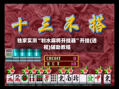 独家实测“划水麻将开挂器”开挂(透视)辅助教程-第1张图片