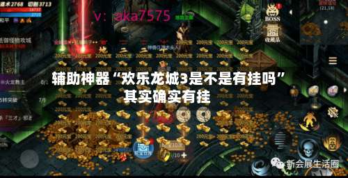 辅助神器“欢乐龙城3是不是有挂吗”其实确实有挂-第3张图片