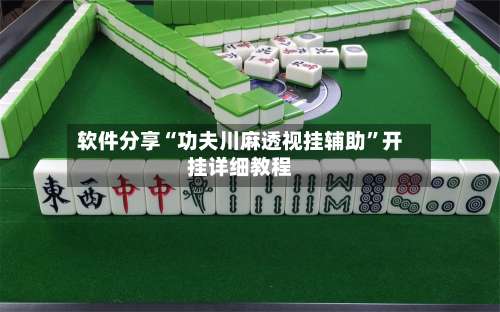 软件分享“功夫川麻透视挂辅助”开挂详细教程-第2张图片