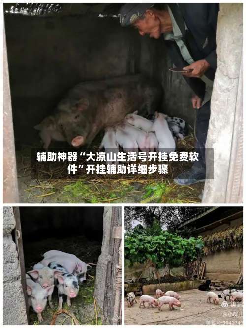 辅助神器“大凉山生活号开挂免费软件”开挂辅助详细步骤-第1张图片