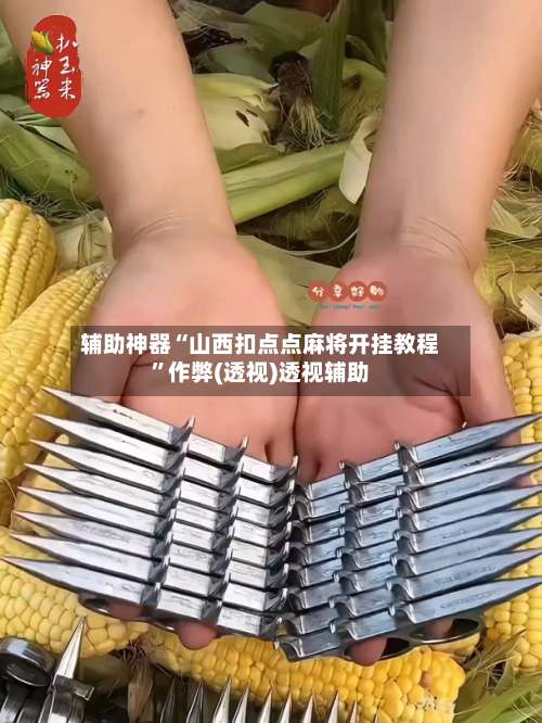 辅助神器“山西扣点点麻将开挂教程	”作弊(透视)透视辅助-第1张图片