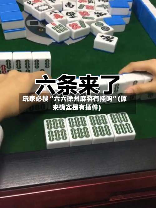 玩家必搜“六六徐州麻将有挂吗”(原来确实是有插件)-第2张图片