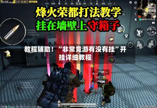 教程辅助！“非常竞游有没有挂”开挂详细教程-第2张图片