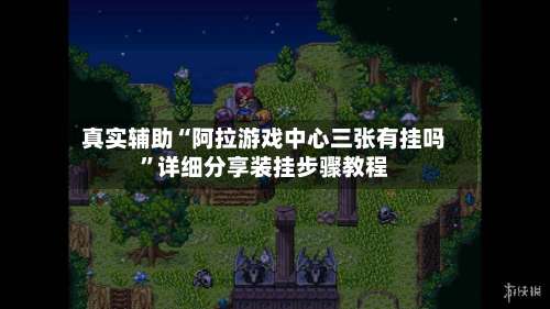 真实辅助“阿拉游戏中心三张有挂吗	”详细分享装挂步骤教程-第2张图片