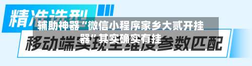 辅助神器“微信小程序家乡大贰开挂器”其实确实有挂-第1张图片