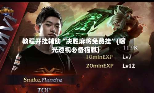 教程开挂辅助“决胜麻将免费挂”(曝光透视必备猫腻)-第3张图片