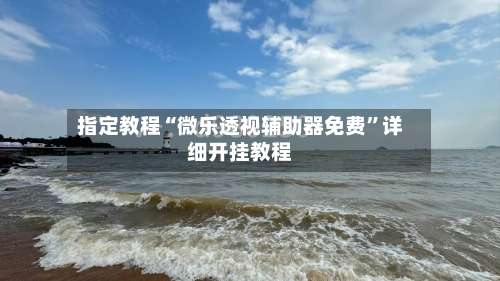 指定教程“微乐透视辅助器免费”详细开挂教程-第1张图片